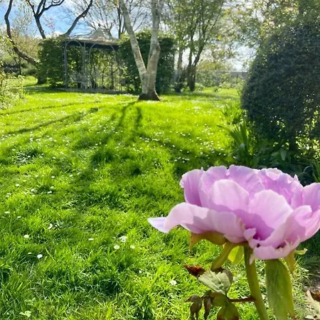 La Ptite Normande Oda ve Kahvaltı