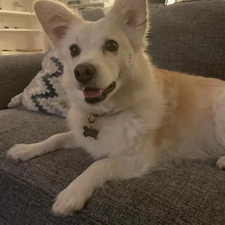 La Ptite Normande Oda ve Kahvaltı 3*