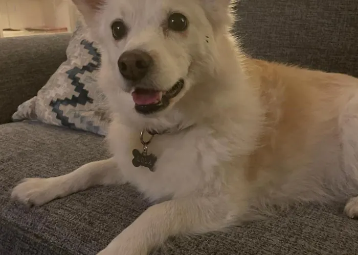 La Ptite Normande Bed & Breakfast 3*